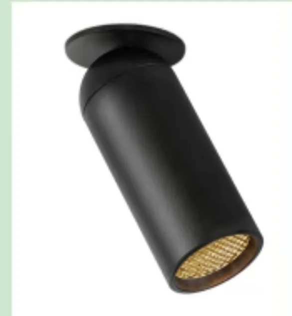 Surface Adjustable Downlight