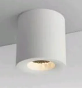 Surface Spy Downlight