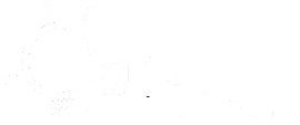 Light Engineers